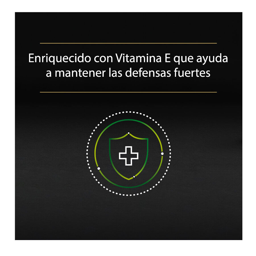 10 terrinas x 85 g Pro Plan NutriSavour Sterilised Bacalhau terrina para gatos, , large Imagem n&uacute;mero 4